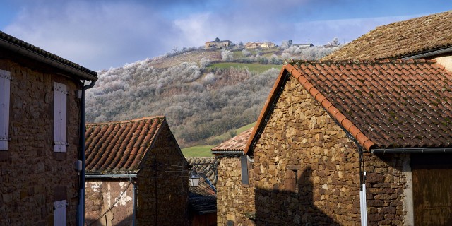 costrix_DSC4809