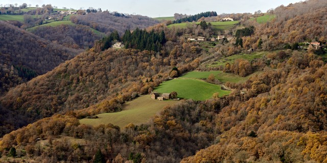 _DSC0740