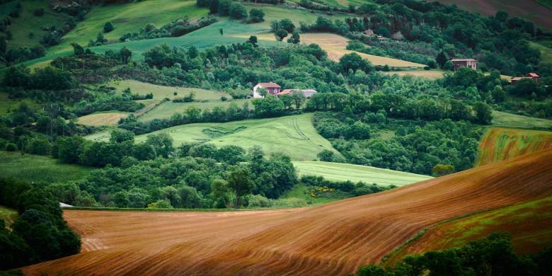 sud-aveyron_DSC9449