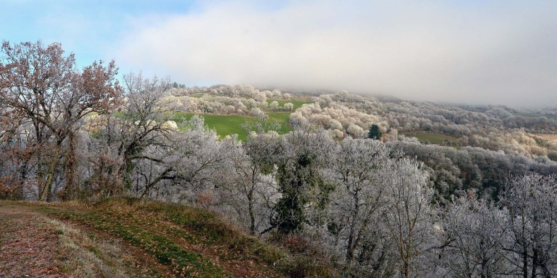 givre_DSC2850