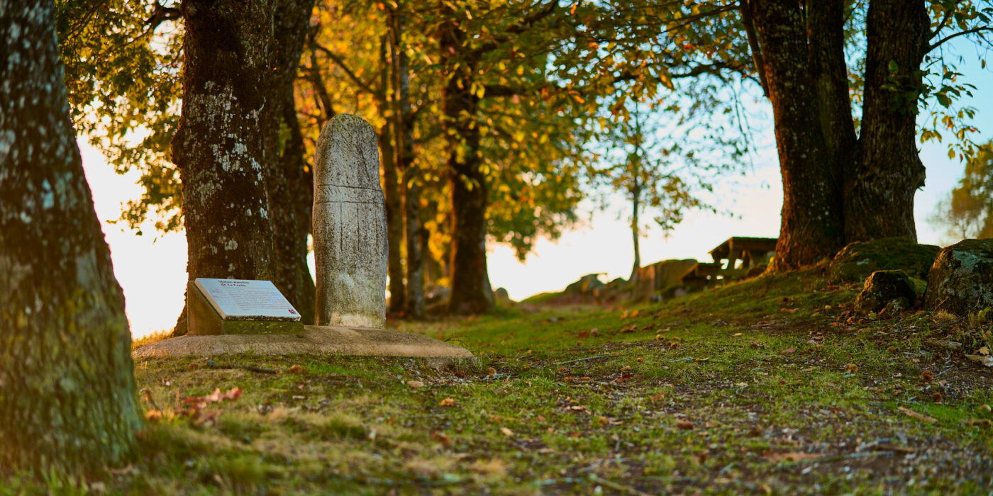 Menhir (copie) Broquiès en Sud-Aveyron