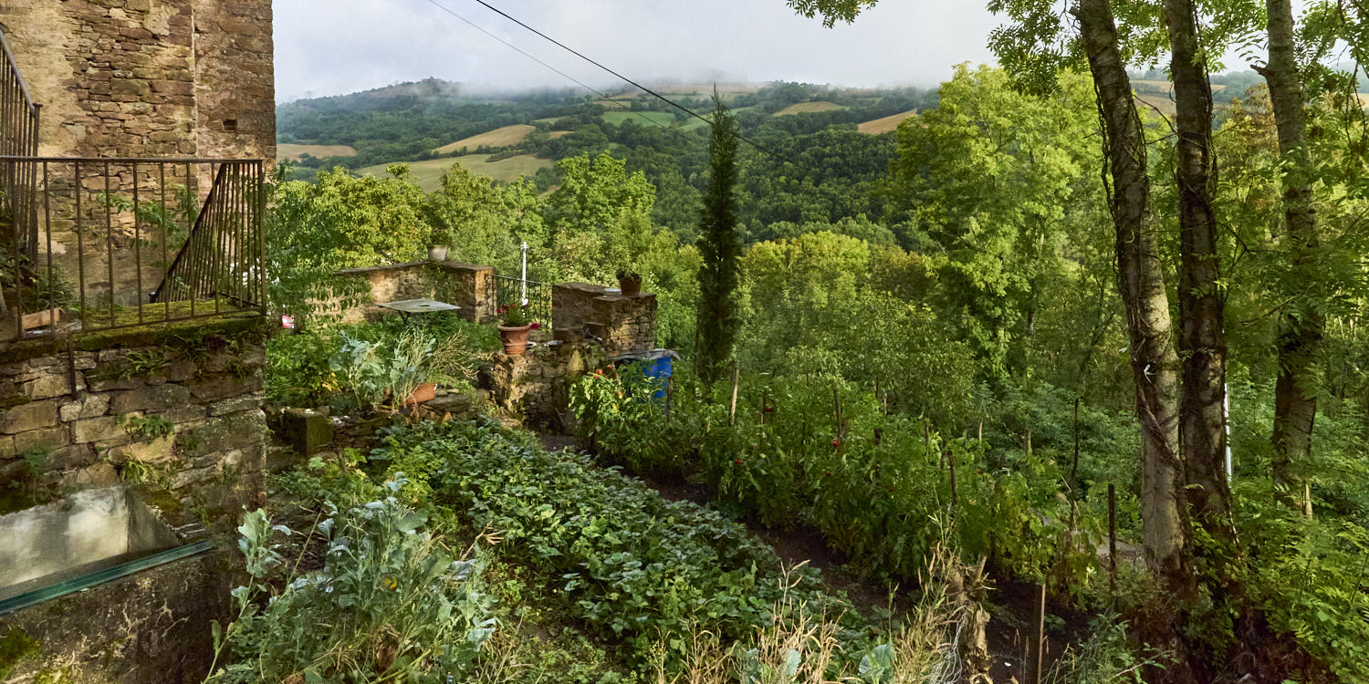 La Cazotte, jardin en été
