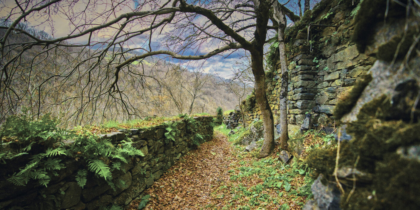 Ayssènes Raspes du Tarn en Sud-Aveyron