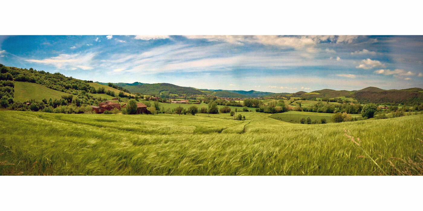 Les blés Bournac en Aveyron